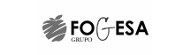 Fogesa