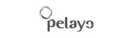 Pelayo