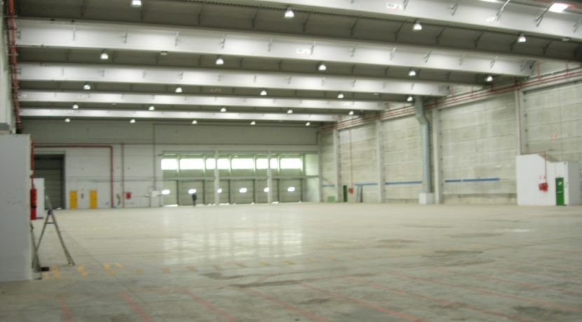 DSCN0330